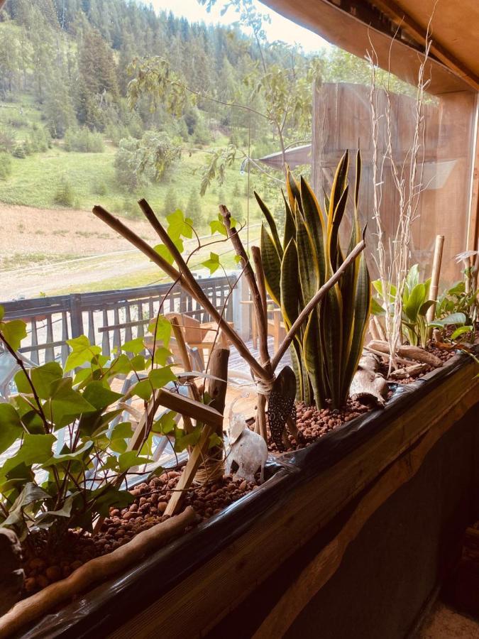 Hotel Green Ecolodge 라 콜미안 외부 사진