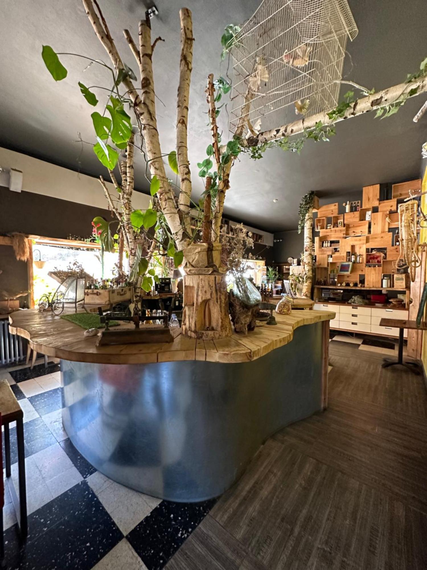 Hotel Green Ecolodge 라 콜미안 외부 사진